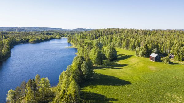 Fiske från sjöarna i området